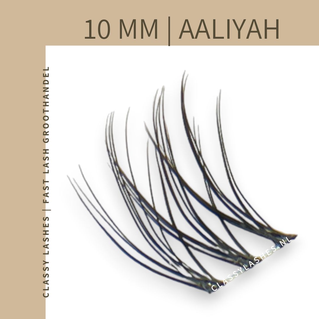 fast-lashes-aaliyah-basic-volume-10-mm-van-classy-lashes