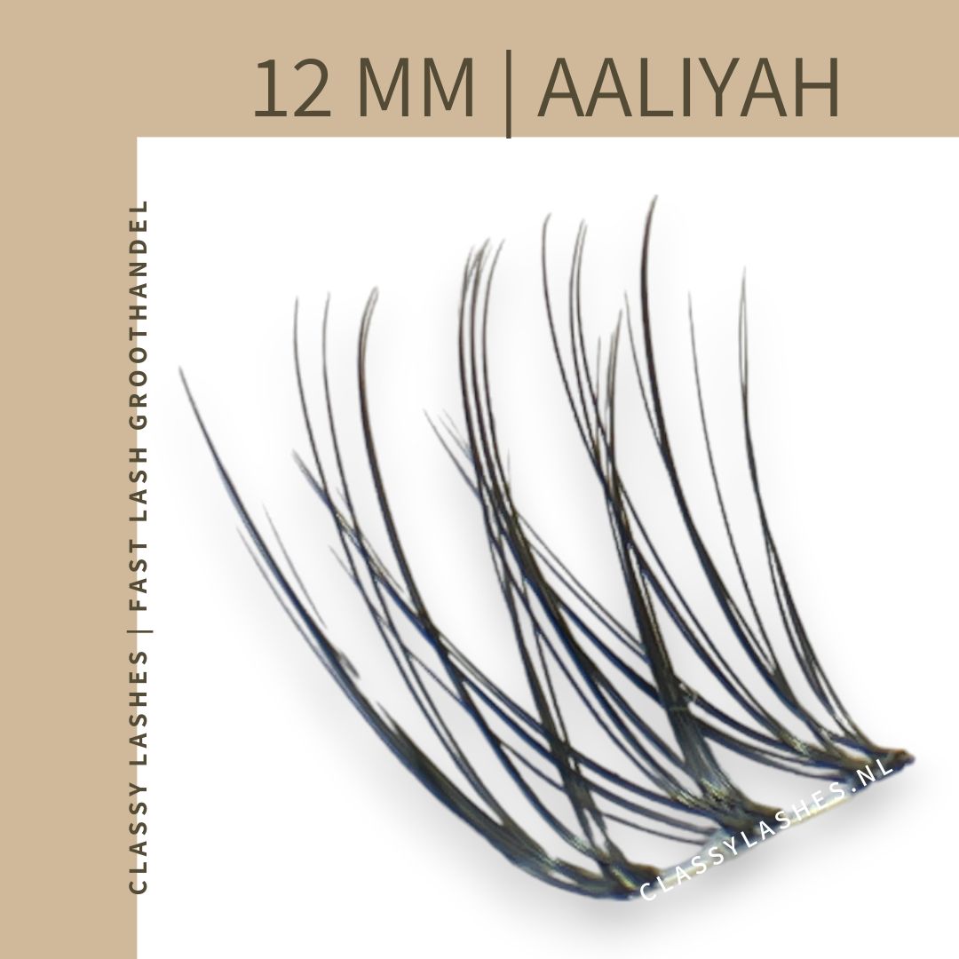 fast-lashes-aaliyah-basic-volume-12-mm-van-classy-lashes