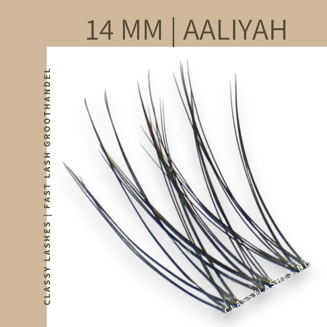 fast-lashes-aaliyah-basic-volume-14-mm-van-classy-lashes